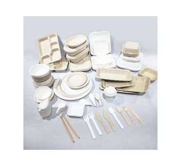 BAGASS / SUGARCANE PRODUCT